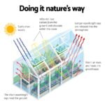 Green Fingers Greenhouse 2.42x2.5x2.26M Aluminium Double Doors Green House Garden Shed - Image 5