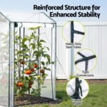 Green Fingers Mini Greenhouse PE Cover Green House Roll-Up Zippered Door 1.0x0.8x1.5M - Image 6