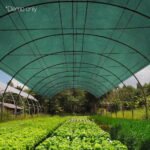 Instahut 70% Shade Cloth 1.83x30m Shadecloth Sail Heavy Duty Green - Image 7