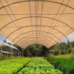 Instahut 90% Shade Cloth 3.66x20m Shadecloth Sail Heavy Duty Beige - Image 7