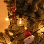 Garden Decorative String Lights - 7.6m 25 LED Fairy Lights for Outdoor & Indoor Ambiance - Image 3