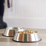 Non Slip Stainless Steel Dog Bowl Pet Cat Water Food Feeder Portable Puppy Dish - XX-Large (1 Litre) - Image 4