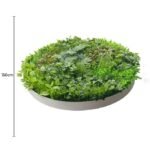 Artificial Green Wall Disc Art 150cm Dense Green Sensation (Fresh White) - Image 2