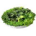 Artificial Green Wall Disc Art 150cm Dense Green Sensation (Fresh White) - Image 4