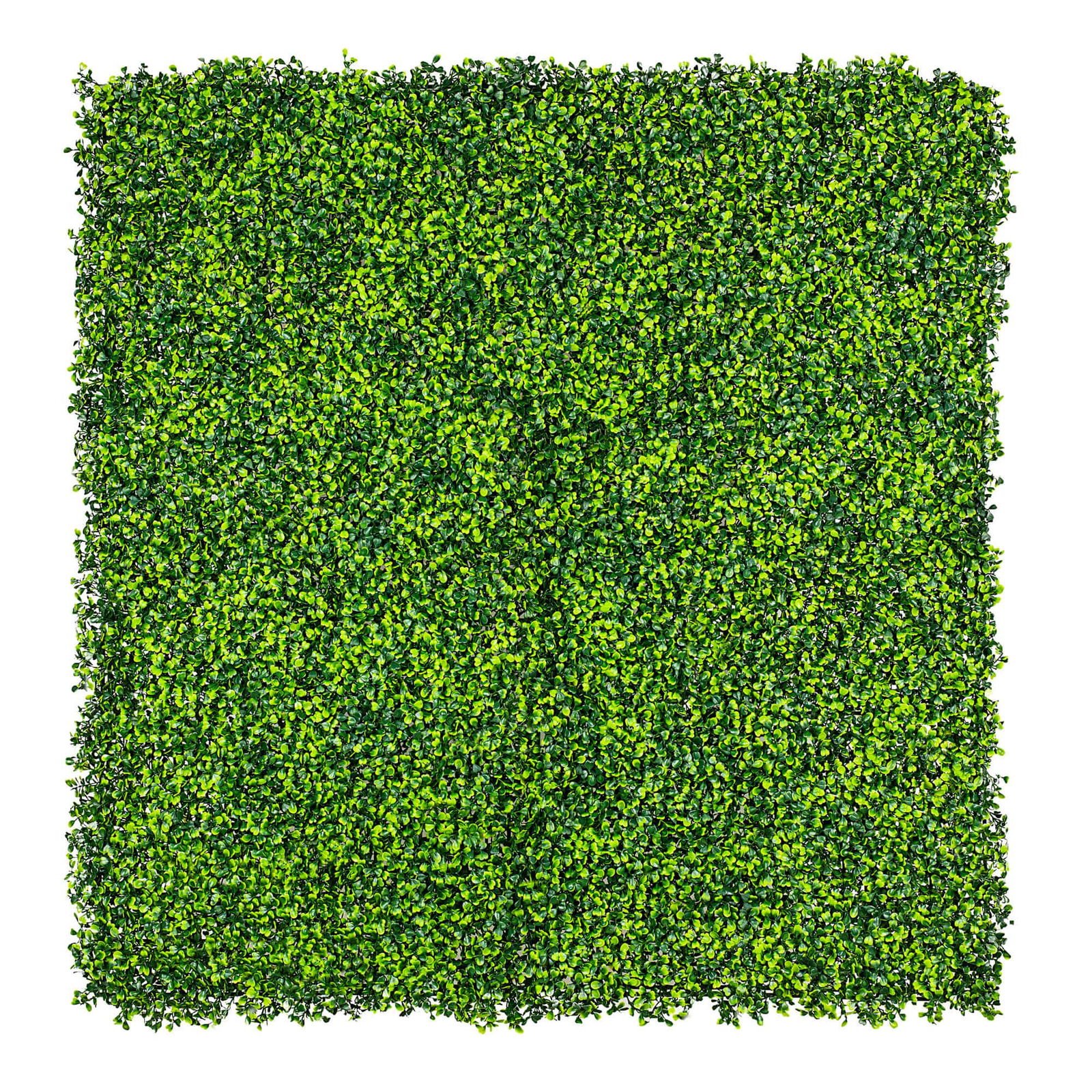 V637-DP1014801-202511131000-00 Mixed Boxwood Hedge Panels / Screens UV Resistant 1m X 1m - Image 1