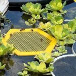 2PCS L 210x180x3.5mm Purple Floating Bee Saver Waterer - Safe Drinking Platform for Garden Ponds & Bird Baths - Image 3
