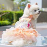 Butterfly Tutu Dress for Dogs & Cats - Summer Pet Princess Gown with Lace Wings and Layered Tulle Skirt(L) - Image 2