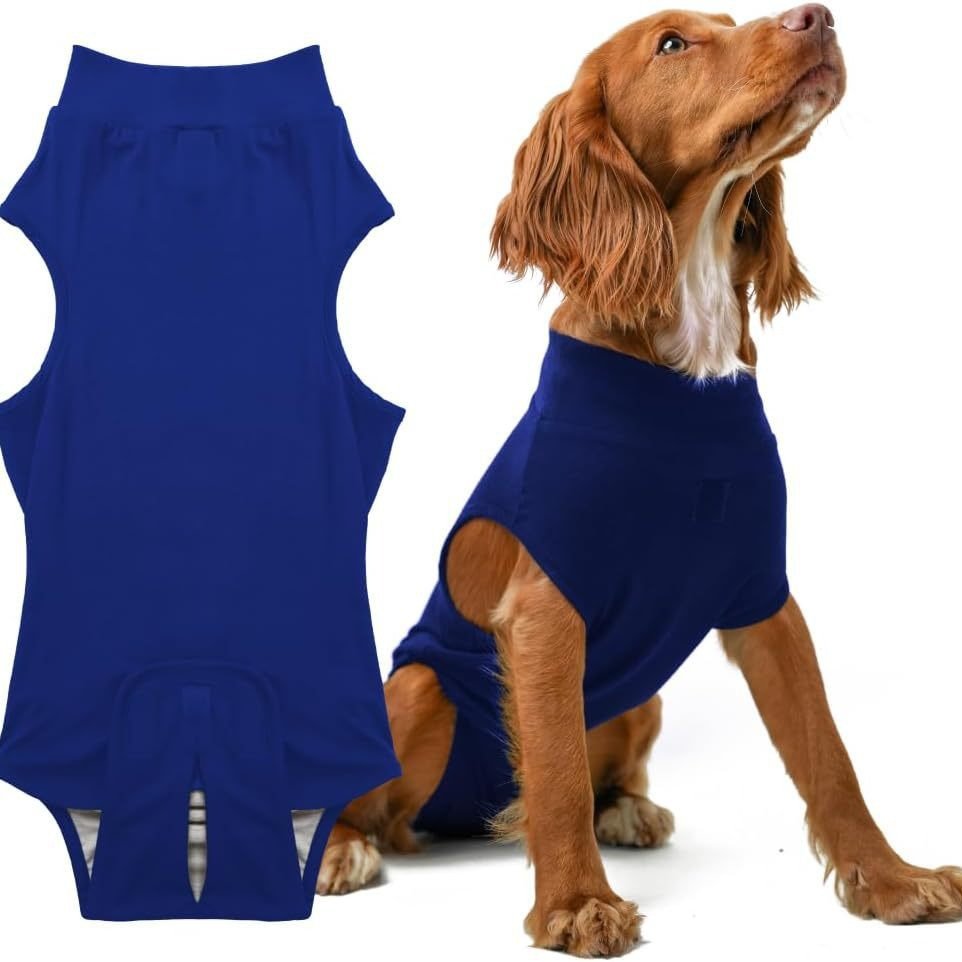 V888-ELOSUNG38151-202510171731-00 S/M Blue Premium Pet Physiological Suit - Comfortable & Breathable Bamboo Modal Recovery Suit - Image 1