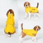 XS Dark Blue All-Season Pet Raincoat - Waterproof & Dustproof High-Collar Dog Windbreaker for Spring - Image 2