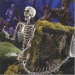 Halloween 31.5 inch Poseable Mermaid Skeleton Prop Haunted Decor - Image 2