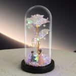 Proposal Couple Figurine Colorful Rose LED Light â€“ Anniversary Flower Gift in Glass Dome for Her, Mom, or Girlfriend