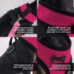 2-Pcs Black Adjustable Pet Harness with Leash â€“ Breathable Mesh Design for Small Dogs, Cats, Chickens, Ducks & More | Anti-Escape, 360Â° Support, Lightweight & Comfortable in Australia(Size:XL) - Image 5