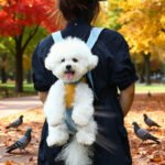Blue and white two-tone style Pet Carrier Backpack Front Chest Pack Legs Out Breathable Mesh for Small Dogs Cats Hiking Travel Hands Free Adjustable Design(Size:M) - Image 2