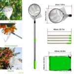 Green Telescopic Fruit Picker Tool with Stainless Steel Extension Pole Carbon Steel Head and Large Bag for Apples Peaches Oranges Australian Home Orchards(2.8m) - Image 2