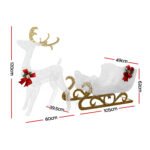 215 LED Christmas Lights Reindeer Sleigh Decorations Jingle Jollys - Image 2