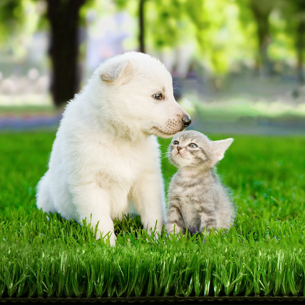 AR-GRASS-15-110M-OLX2-202502282024-00.jpg Prime Turf Artificial Grass Synthetic 20 SQM Fake Lawn 17mm 1X10M - Image 1