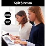 Alpha 88 Keys Electronic Piano Keyboard Digital Electric w/ Stand Semi-Weighted - Image 5