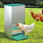 Giantz Automatic Chicken Feeder Port Coop Chick Poultry Treadle Self Opening - Image 7