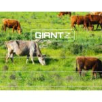 Giantz Electric Fence Poly Wire 2000M - Image 6