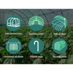 Green Fingers Greenhouse 3.5x2x2M Walk in Green House Tunnel Plant Garden Shed - Image 6