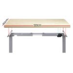 Artiss Standing Desk Motorised 120CM White Oak - Image 3