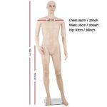 186cm Tall Full Body Male Mannequin - Skin Coloured - Image 2