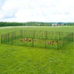 i.Pet Chicken Fence Electric 50Mx125CM Poultry Netting - Image 8