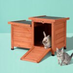 i.Pet Outdoor Cat House Rabbit Hutch Wooden Shelter Indoor Cat House Outdoor Condo Small Enclosure - Image 7