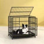 i.Pet Dog Cage Crate Large Puppy Cat Anti-Bite Pet Kennel Wheels w/Tray Metal - Image 7