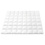 Giselle Bedding 800GSM Goose Down Feather Quilt Winter Blanket Duvet Comforter Double