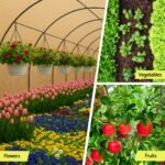 Instahut 90% Shade Cloth 1.83x30m Shadecloth Sail BE - Image 6