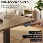 FORTIA Sit to Stand Standing Desk, 160x60cm, 72-118cm Electric Height Adjustable, Walnut Style Desktop/Black Frame - Image 5