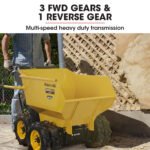 Baumr-AG 6 Wheel Motorised Wheelbarrow Dumper, Briggs & Stratton CR950 Petrol Engine, 500kg Capacity - Image 8