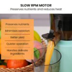 EUROCHEF Cold Press Slow Juicer Machine, Large Chute, 200W, Seafoam Green - Image 6