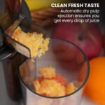 EUROCHEF Cold Press Slow Juicer Machine, Large Chute, 200W, Charcoal Grey - Image 7