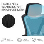 FORTIA Ergonomic Office Desk Chair, Height Adjustable Lumbar Support, Mesh Fabric, Headrest, Black - Image 3