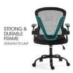 FORTIA Ergonomic Office Desk Chair, Coolmesh Fabric, Adjustable Recline, Black Mesh/Black Frame - Image 7
