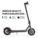 ALPHA Urban 8 Electric Scooter, Suspension, 25km Range, 8.5-Inch Wheels, Brushless Motor, Motorised Commuter eScooter for Adults, Grey - Image 3