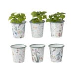 Set 6 Assorted Spring Colour Planters 9cm