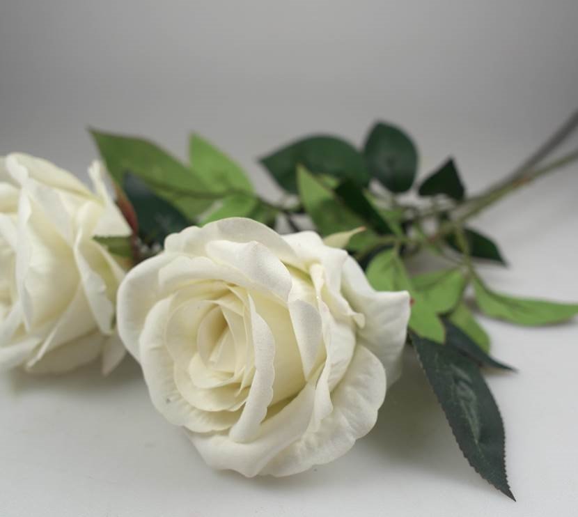 V637-AFL25017-202508251945-00.jpg bulk 24 Articial Single Stem Rose White 62cm - Image 1