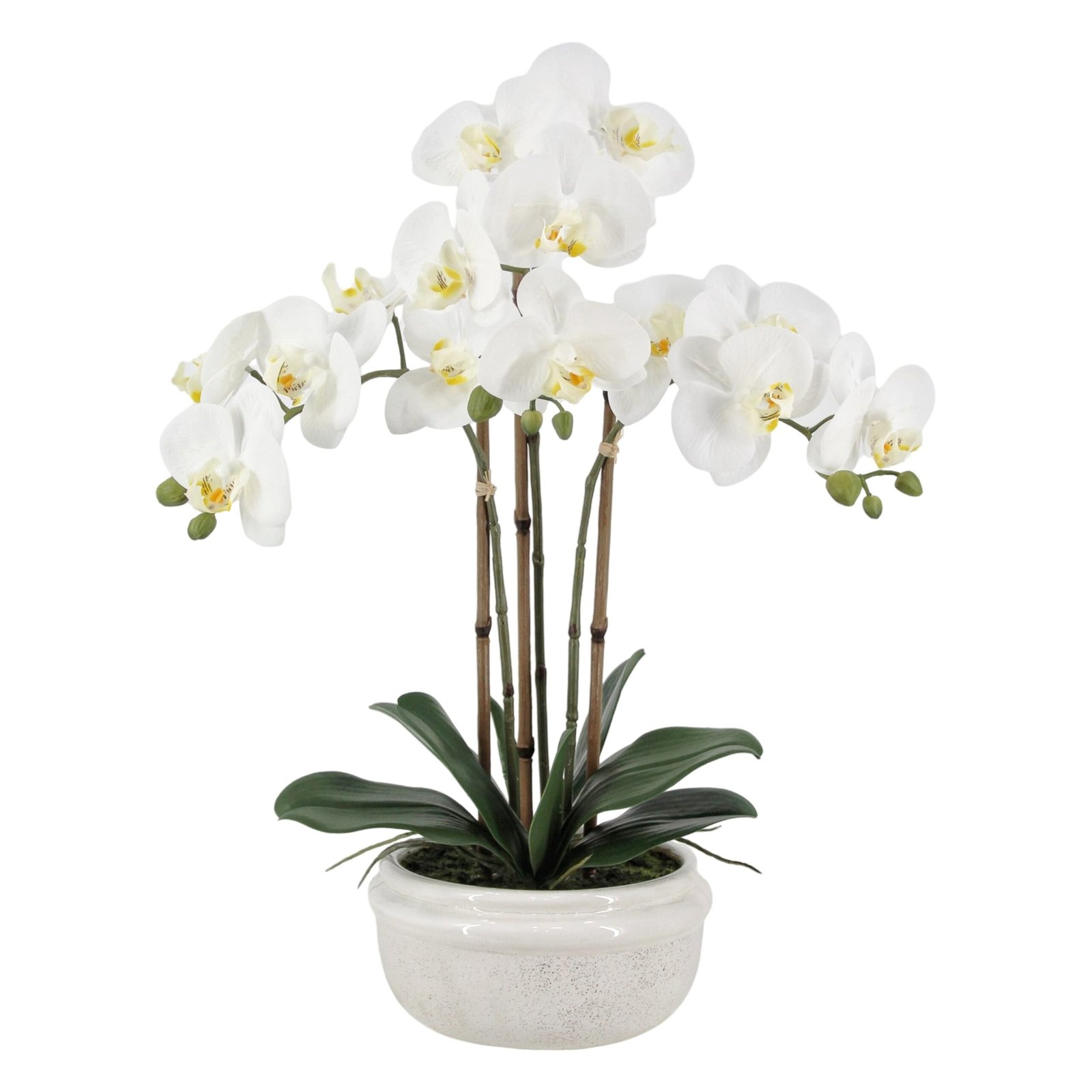 V637-AFL36982-202508251720-00.jpg Real Touch Artificial Orchid in Ceramic Pot 57cm - Image 1