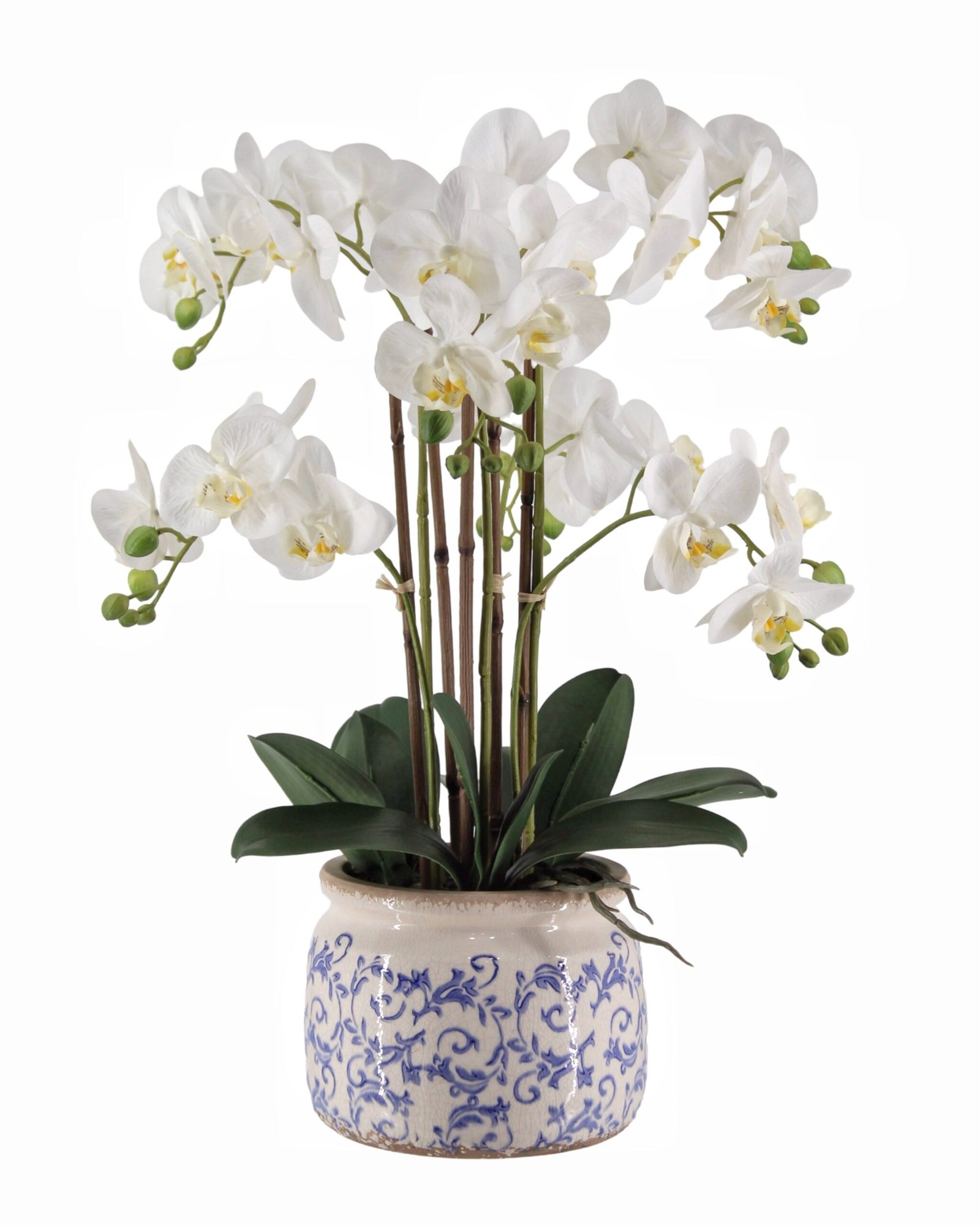 V637-AFL36985-202508251720-00.jpg Real Touch Artificial Orchid in Pot 61cm - Image 1