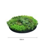 Artificial Green Wall Disc Art 150cm Mixed Ivy and Philodendron (Onyx Black) - Image 2