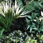 Bespoke Vertical Garden Green Wall UV Resistant 45cm x 45cm Fire Retardant - Image 4