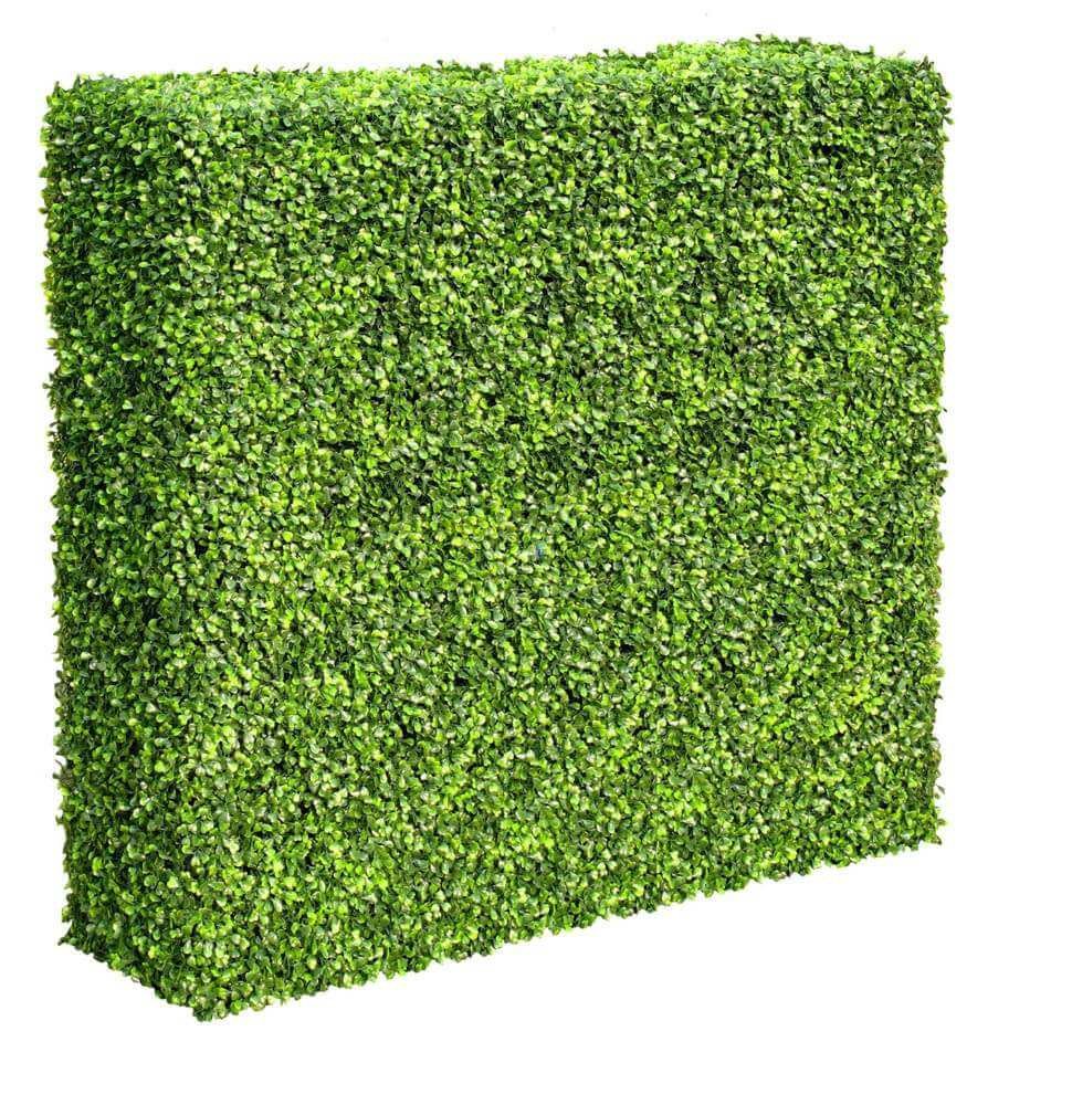 V637-DP1014424-202511130940-00.jpg Mixed Boxwood Hedge UV Resistant 100cm Long x 100cm High - Image 1