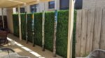 Mixed Boxwood Hedge Panels / Screens UV Resistant 1m X 1m - Image 5