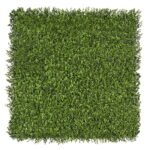 Premium Natural Buxus Hedge Panels UV Resistant 1m X 1m