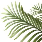 Artificial Multi Stem Hawaii Palm 190cm - Image 4