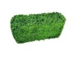 Luxury Deluxe Portable Buxus (Bright) UV Resistant 100cm Long x 50cm High x 25cm Wide - Image 3