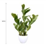 60cm Artificial Potted Zanzibar - Image 2